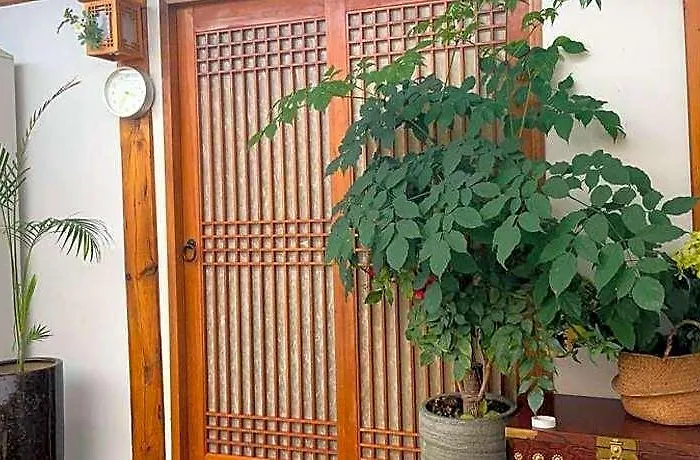 ホテル Bibimbap Hanok Gyeongbokgung Private ソウル特別市